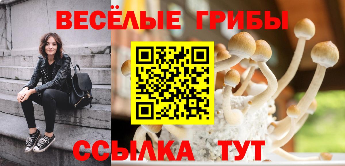 Кушва  Псилоцибиновые грибы Psilocybe  Вход с VPN 